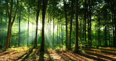 We’re an environmentally conscious & eco-friendly agency