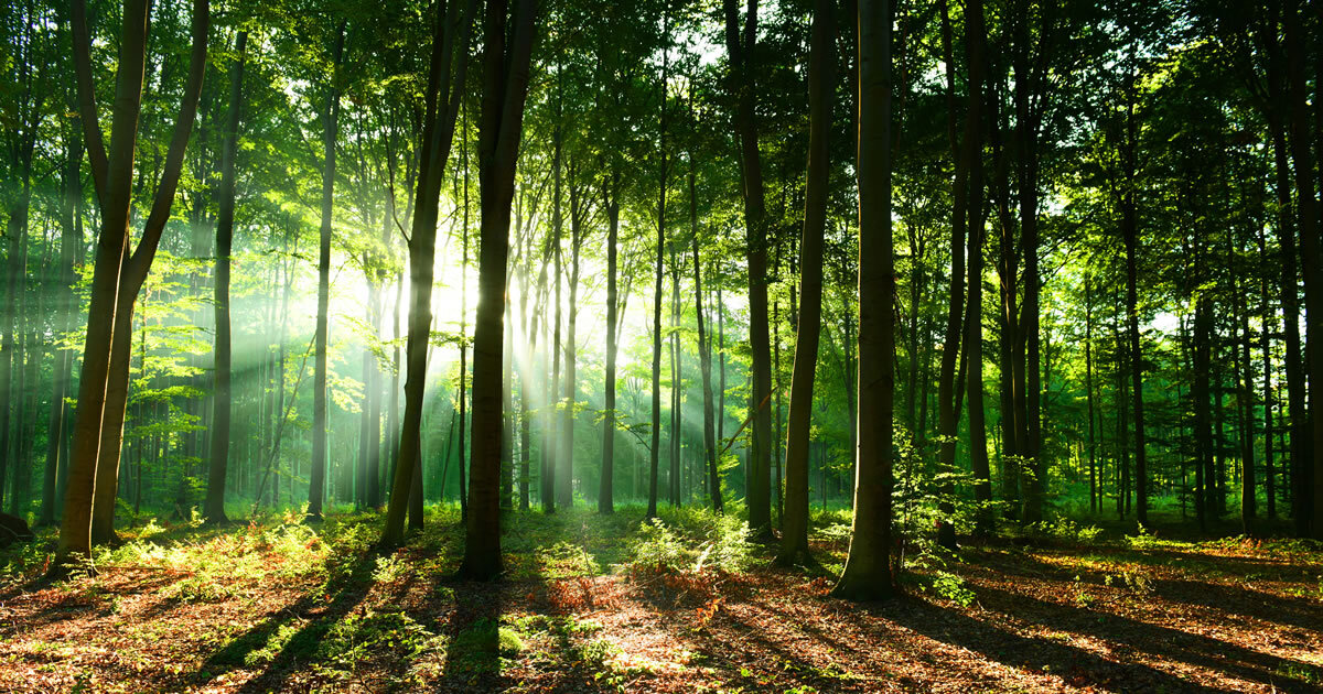 We’re an environmentally conscious & eco-friendly agency