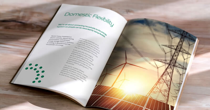 Evergreen Smart Power Brochure Design