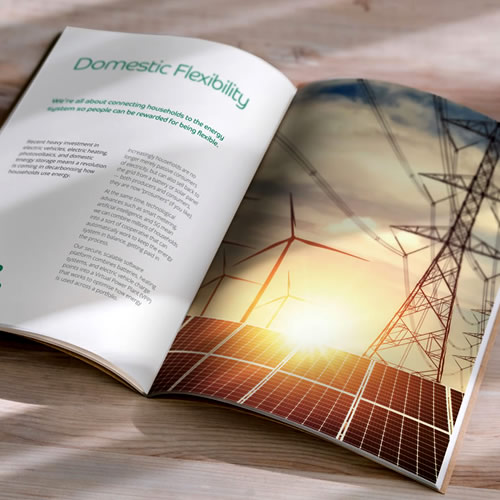 Evergreen Smart Power Brochure Design
